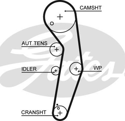 Gates K055569XS - Kit cinghie dentate www.autoricambit.com