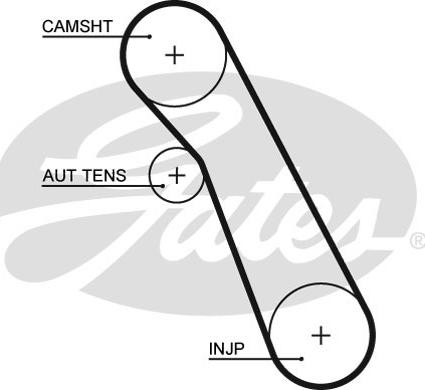 Gates K015541XS - Kit cinghie dentate www.autoricambit.com