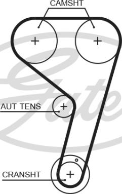 Gates T354HOB - Cinghia dentata www.autoricambit.com