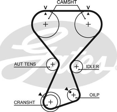 Gates T313 - Cinghia dentata www.autoricambit.com