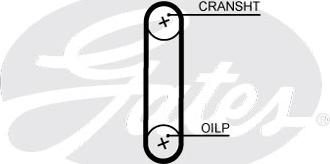 Gates T364HOB - Cinghia dentata www.autoricambit.com