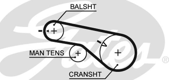 Gates K025556XS - Kit cinghie dentate www.autoricambit.com