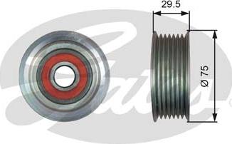 Gates T36447 - Galoppino/Guidacinghia, Cinghia Poly-V www.autoricambit.com