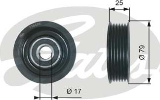 Gates T36420 - Galoppino/Guidacinghia, Cinghia Poly-V www.autoricambit.com