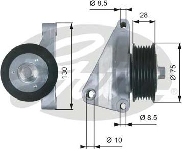 Gates T36422 - Galoppino/Guidacinghia, Cinghia Poly-V www.autoricambit.com