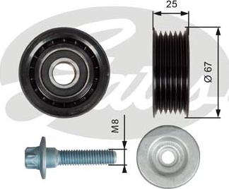 Gates T36619 - Galoppino/Guidacinghia, Cinghia Poly-V www.autoricambit.com