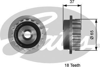 Gates T36179 - Puleggia cinghia, Alternatore www.autoricambit.com