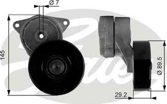 Gates T38169 - Tendicinghia, Cinghia Poly-V www.autoricambit.com