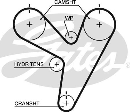 Gates T255 - Cinghia dentata www.autoricambit.com