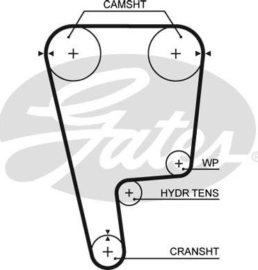 Gates T226RB - Cinghia dentata www.autoricambit.com