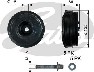 Gates TVD1037A - Puleggia cinghia, Albero a gomiti www.autoricambit.com