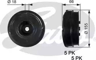 Gates TVD1037 - Puleggia cinghia, Albero a gomiti www.autoricambit.com