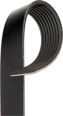 GATES-AU 8PK1969RPM - Cinghia Poly-V www.autoricambit.com