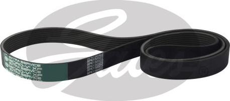 GATES-AU 8PK1565ES - Cinghia Poly-V www.autoricambit.com