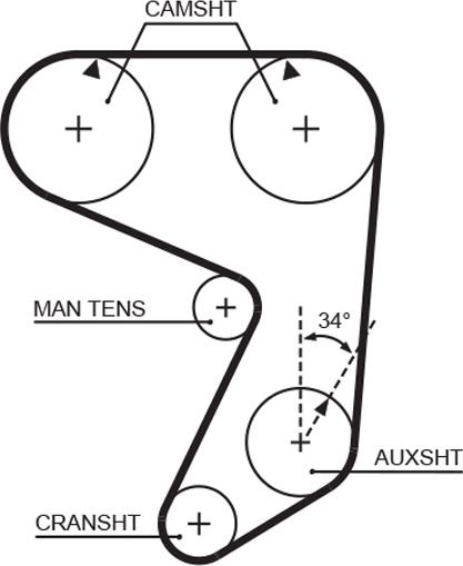 GATES-AU T019 - Cinghia dentata www.autoricambit.com