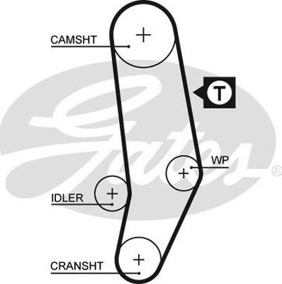 GATES-AU T083 - Cinghia dentata www.autoricambit.com