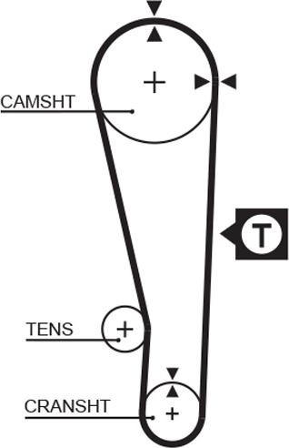 GATES-AU T141 - Cinghia dentata www.autoricambit.com