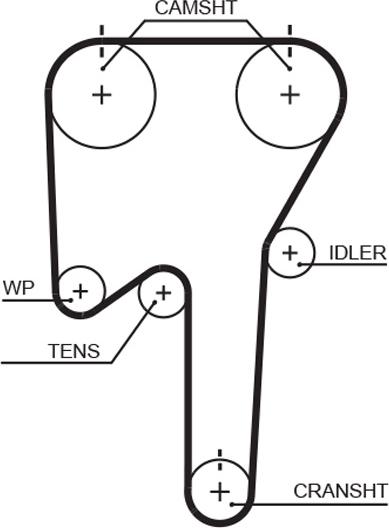 GATES-AU T1071 - Cinghia dentata www.autoricambit.com