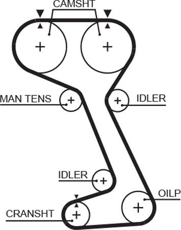 GATES-AU T173 - Cinghia dentata www.autoricambit.com