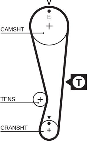 GATES-AU T212 - Cinghia dentata www.autoricambit.com