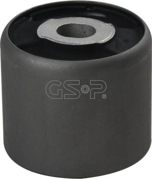 GSP 510653 - Supporto, Differenziale www.autoricambit.com