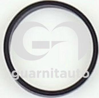 Guarnitauto 184219-8300 - Guarnizione, Collettore aspirazione www.autoricambit.com