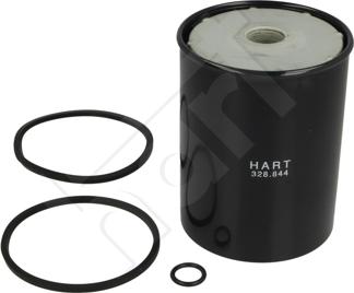 FRAM C4121 - Filtro carburante www.autoricambit.com