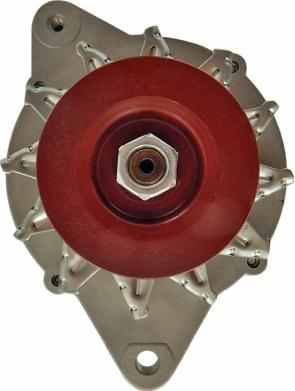 HELLA 8EL 015 630-301 - Alternatore www.autoricambit.com