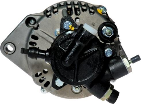 HELLA 8EL 011 711-161 - Alternatore www.autoricambit.com