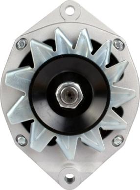 HELLA 8EL 012 429-911 - Alternatore www.autoricambit.com