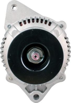 HELLA 8EL 012 428-091 - Alternatore www.autoricambit.com