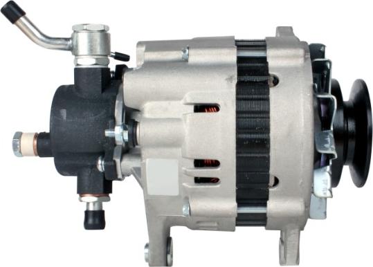 HELLA 8EL 012 428-011 - Alternatore www.autoricambit.com