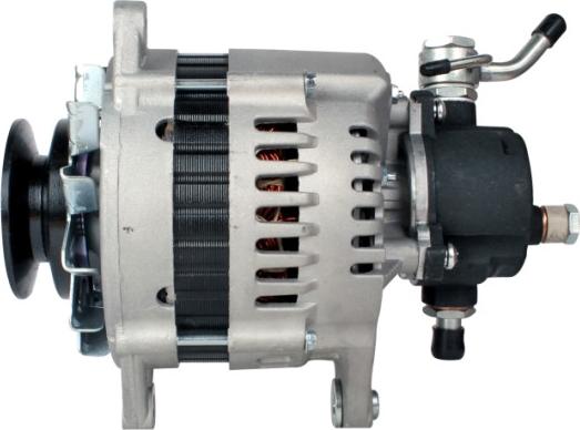 HELLA 8EL 012 428-011 - Alternatore www.autoricambit.com