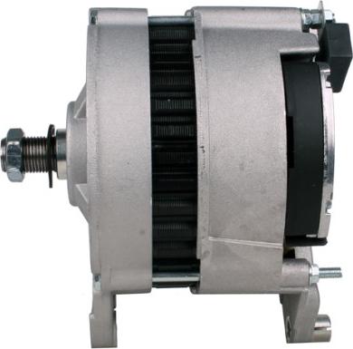 HELLA 8EL 012 427-401 - Alternatore www.autoricambit.com