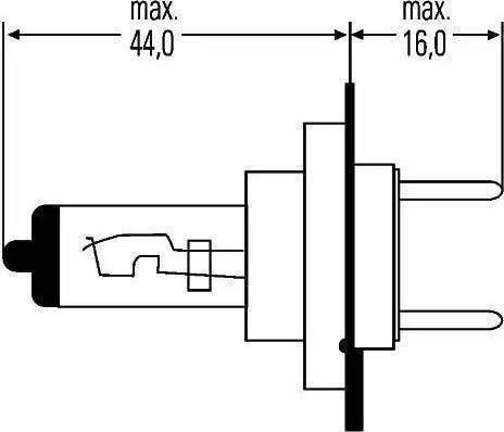 HELLA 8GH 007 157-471 - Lampadina, Faro principale www.autoricambit.com