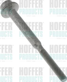 Hoffer 98825 - Vite di chiusura www.autoricambit.com