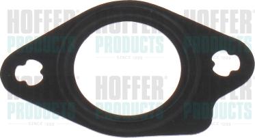 Hoffer 016195 - Guarnizione, Condotto valvola-AGR www.autoricambit.com