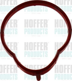 Hoffer 016175 - Guarnizione, Collettore aspirazione www.autoricambit.com