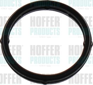 Hoffer 016249 - Guarnizione, Collettore aspirazione www.autoricambit.com