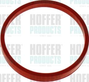 Hoffer 016250 - Guarnizione, Collettore aspirazione www.autoricambit.com