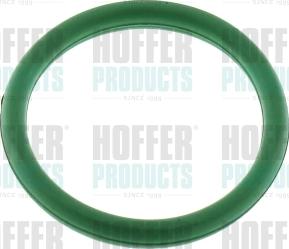 Hoffer 016200 - Guarnizione, Collettore aspirazione www.autoricambit.com