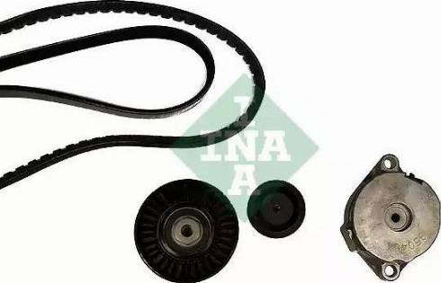 INA 530 0396 10 - Kit Cinghie Poly-V www.autoricambit.com