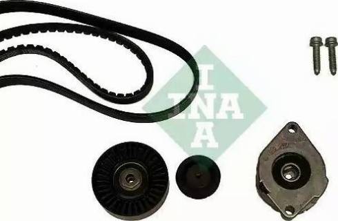 INA 530 0398 10 - Kit Cinghie Poly-V www.autoricambit.com