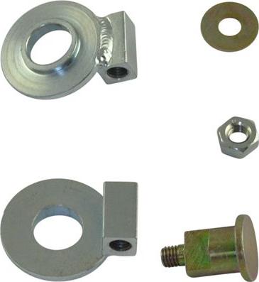 Kavo Parts DIP-8004 - Galoppino/Guidacinghia, Cinghia Poly-V www.autoricambit.com