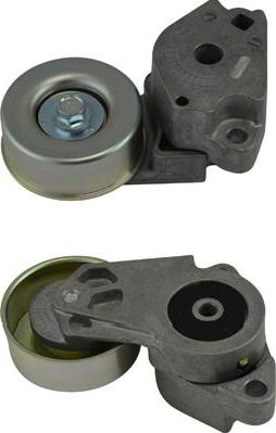 Kavo Parts DTP-5503 - Galoppino/Guidacinghia, Cinghia Poly-V www.autoricambit.com