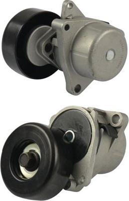 Kavo Parts DTP-6548 - Galoppino/Guidacinghia, Cinghia Poly-V www.autoricambit.com