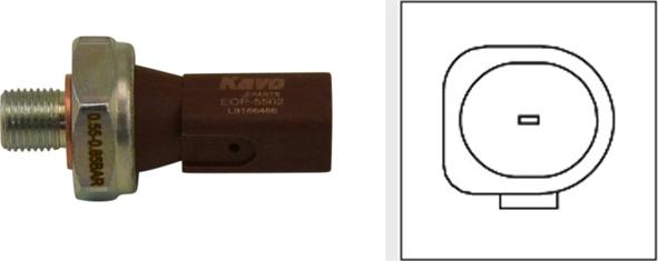 Kavo Parts EOP-5502 - Sensore, Pressione olio www.autoricambit.com