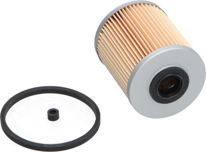 Kavo Parts NF-2481 - Filtro carburante www.autoricambit.com