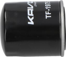 Kavo Parts TF-1975 - Filtro carburante www.autoricambit.com