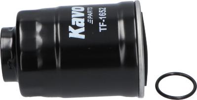 Kavo Parts TF-1652 - Filtro carburante www.autoricambit.com